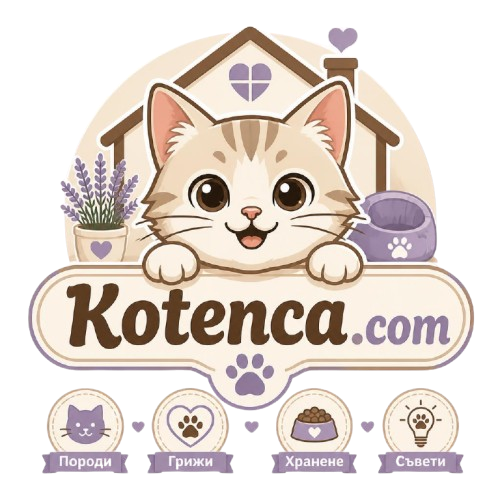 Kotenca.com